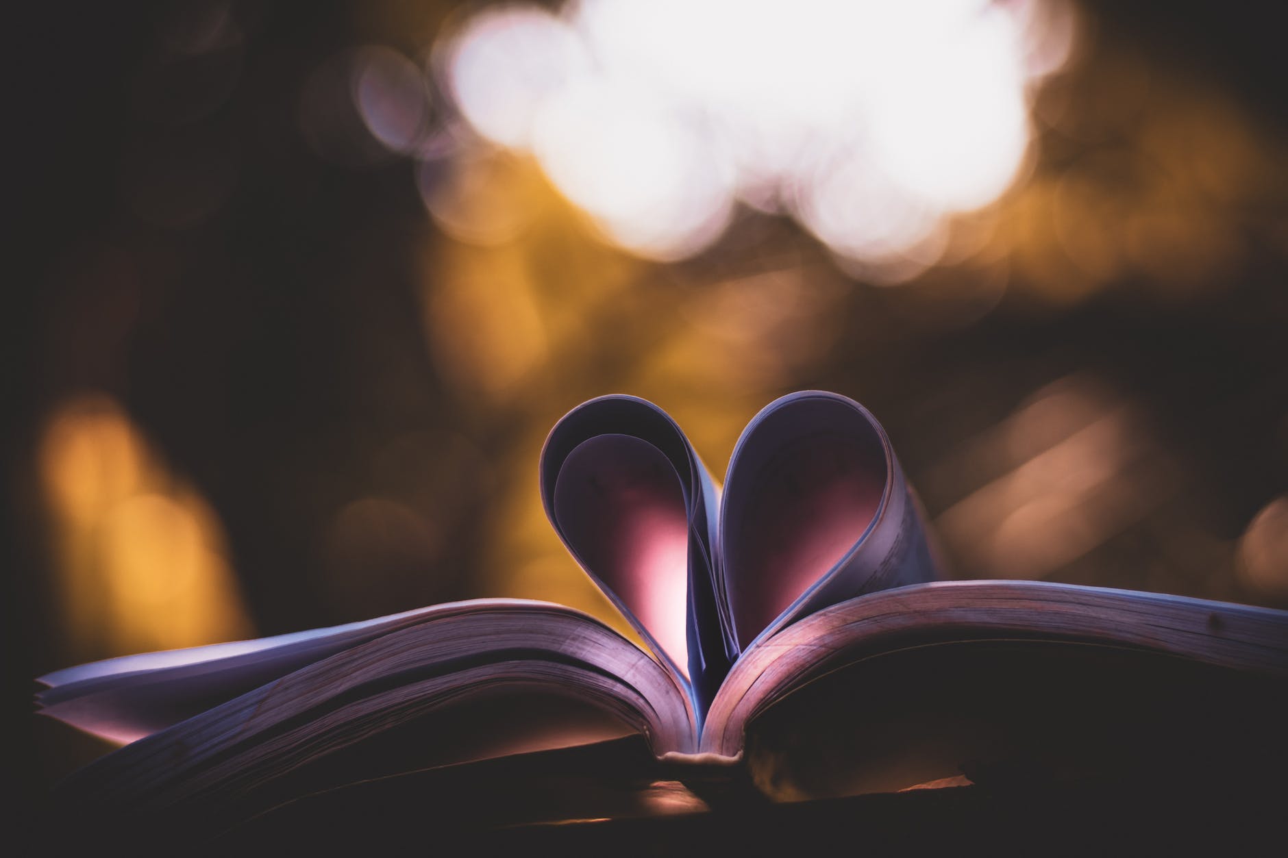 An open book with its pages folded in a heart shape.